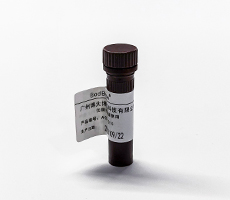 細胞計數用臺盼藍染料or AOPI熒光染料？