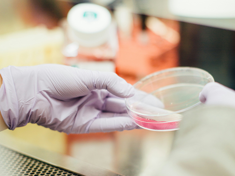 類器官行業的現在與未來——高通量成像的核心賦能作用